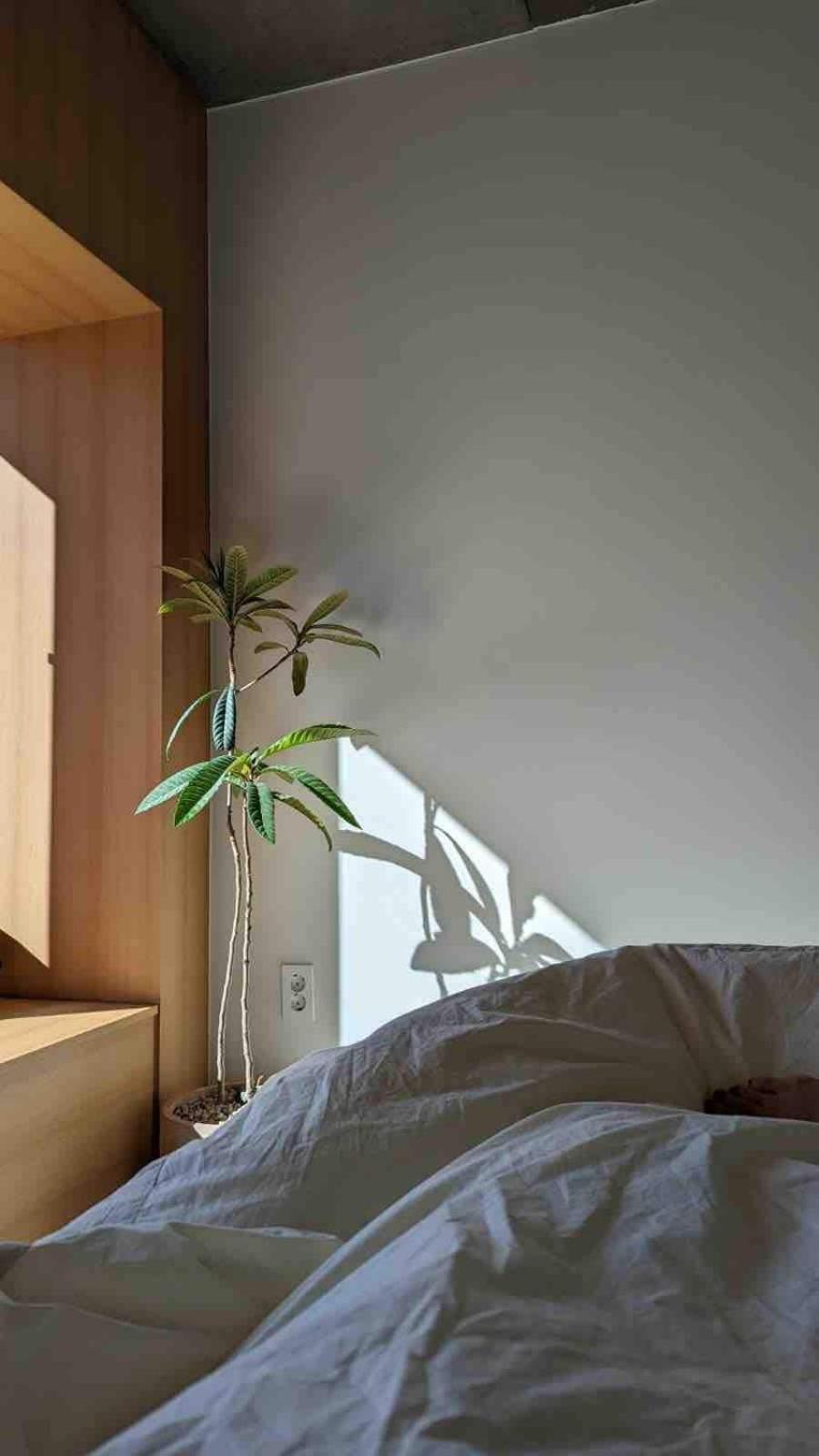 Apartment Pipe *